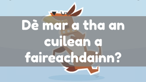 Dè mar a tha an cuilean a faireachdainn?