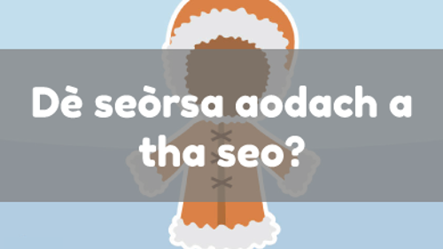 Dè seòrsa aodach a tha seo?